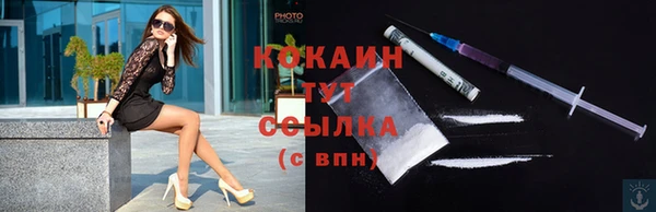крисы Белокуриха