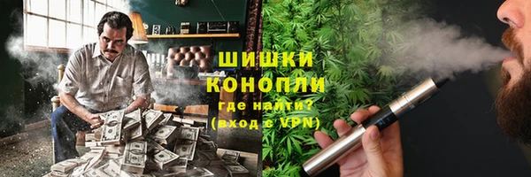 гидропоника Бородино