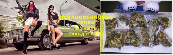 мдма Богородицк
