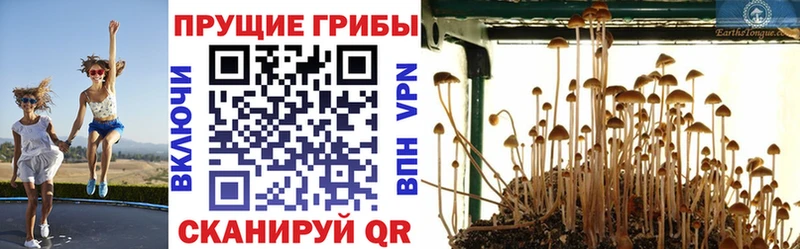 Галлюциногенные грибы Cubensis что такое наркотик Гороховец